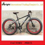 Mountain bike with fat tyre-BRT-M100