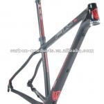 29er carbon mountain frame-29er FLY