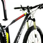 2012 Hot sale!!! NEW Complete Carbon 29er Bike - Carbonal AVENGER-MTB 29er AVENGER
