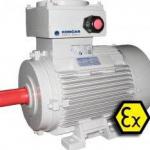 Explosion proof motor-