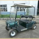 2 Seats Electric Golf Car