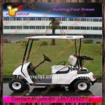 2 Seats Golf Cart