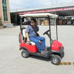 Brand new cheap oem electric golfwagen, wholesale golfwagen, ce approved, curtis controller