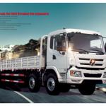 DAYUN 6*2 Medium Truck CGC1250