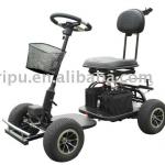 Electric Golf Cart RP413G-3