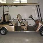 Electric Golf Cart Golf Car Fully automatic 4 KW 4/6/8 seat Powersport India PS6