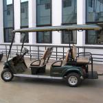 Electric Golf Cart Golf Car Fully automatic 4 KW 4/6/8 seat Powersport India PS6