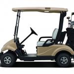 Electric golf cart two seater golf cart cheap for sale EQ9022