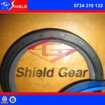 Gear box S6-160 oil Seal ring 0734310132. 0734310132