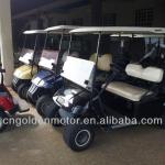 golf buggy drive motor/Golf Car Motor