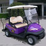 GOLF BUGGY SERVICES CALL CHIA 010-2001110 X1--S2