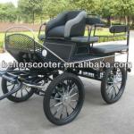 Le Maratona Cavallo Carrozza/Sports Driving Horse Carriage BTH-01 On Sale BTH-01