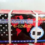 lead acid battery