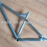 Ti MTB frame in stock Ti frames