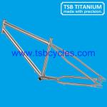 TSB-ZJS0901 customized titanium beach cruiser bike frame TSB-ZJS0901