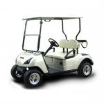 two seats electric golf buggy