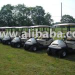 Wholesale Golf Carts